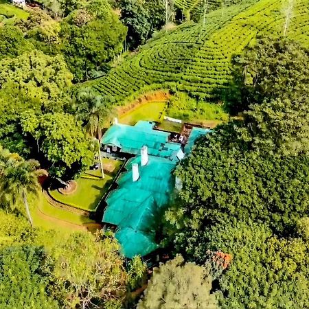 Royal Majesty Bungalow Hatton Bagian luar foto