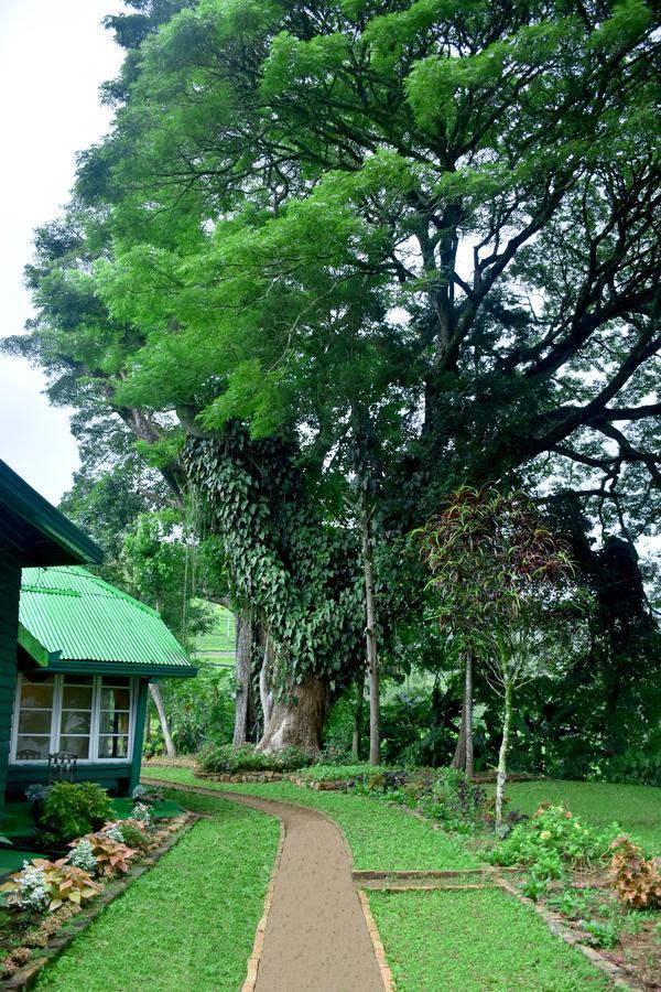 Royal Majesty Bungalow Hatton Bagian luar foto